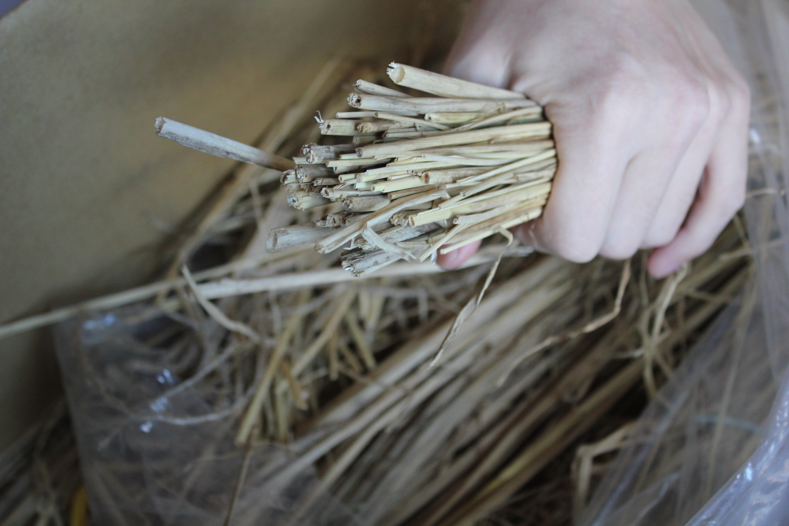 簡単な藁人形の作り方 日本の呪術 海外魔術実践研究サイト 丑の刻呪術研究会